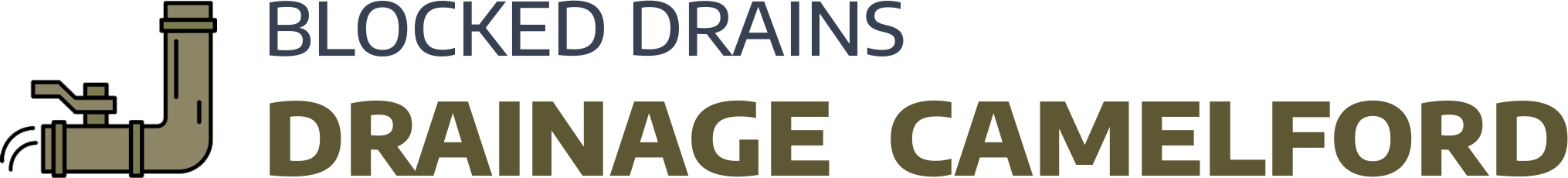 website logo
